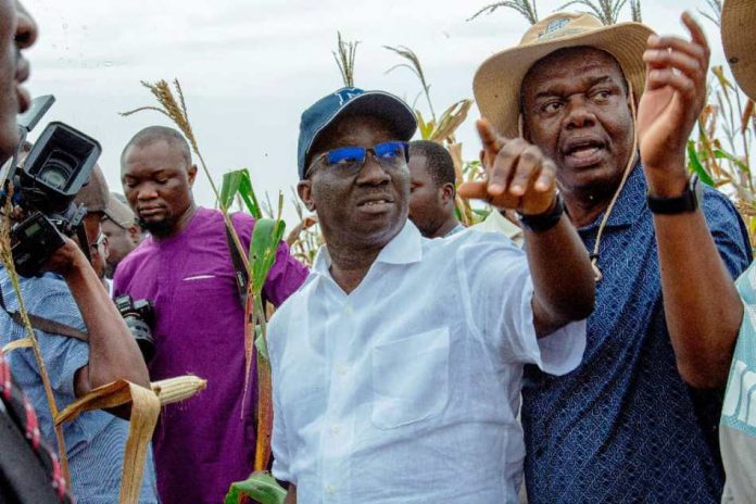 Real Farmers, Real Food — The Truth Behind Edo’s 2025 Agricultural Vision